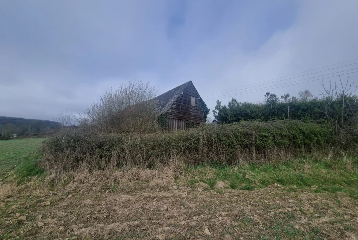 Maison en pierre à restaurer dans un cadre paisible 