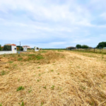 Terrain de 741 m² à vendre à Saubens, viabilisé et libre de constructeur