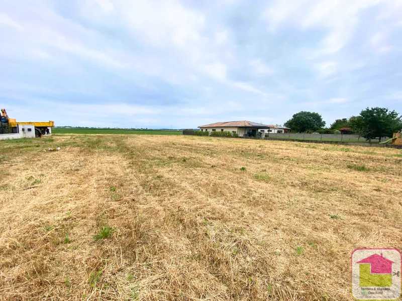 Terrain de 741 m² à vendre à Saubens, viabilisé et libre de constructeur 