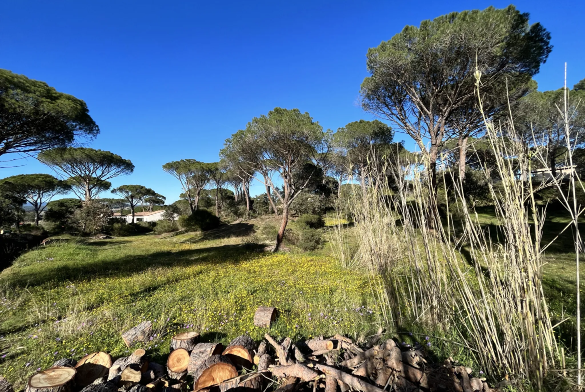 Terrain constructible 2000 m² à Vidauban 