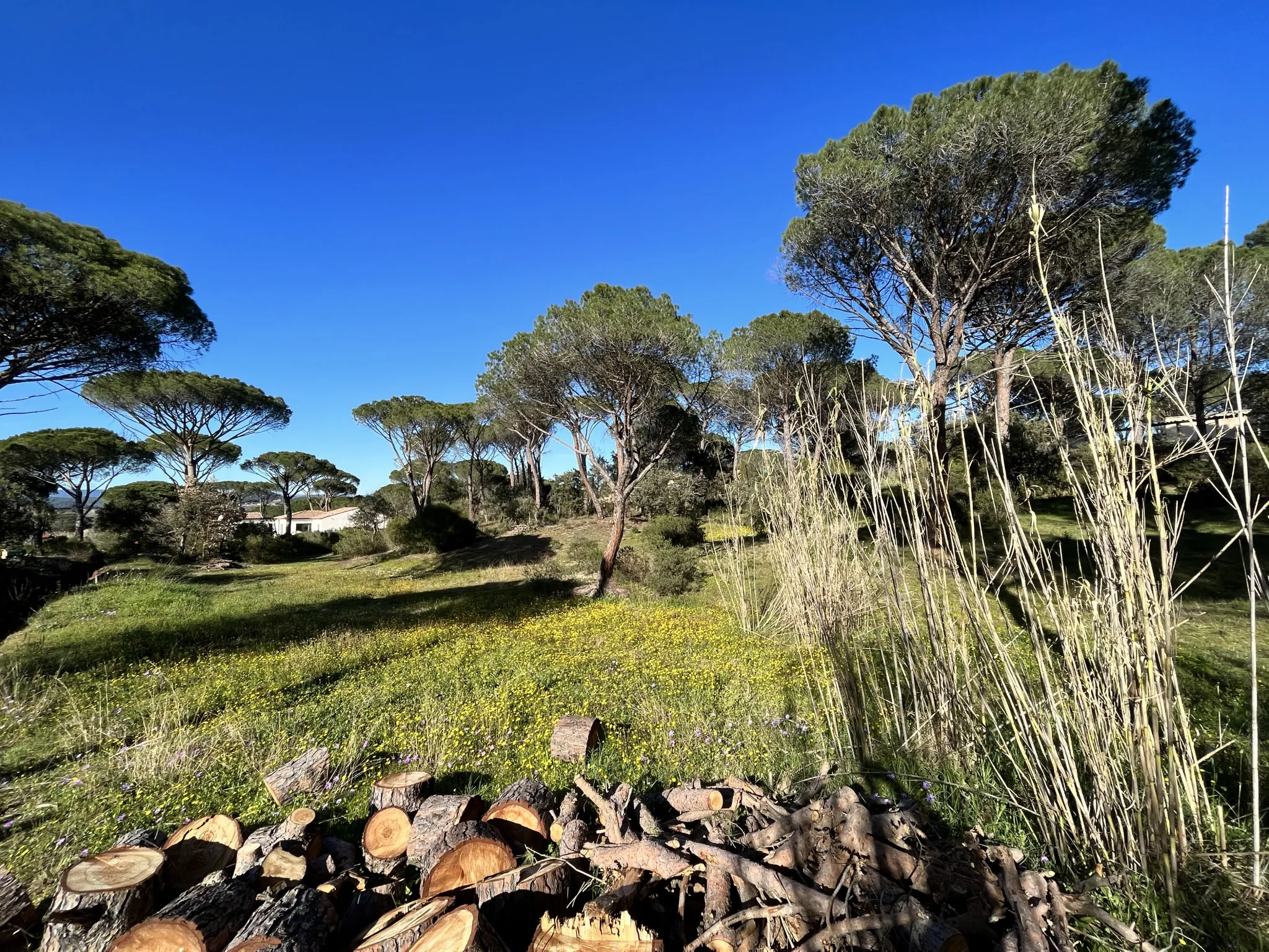 Terrain constructible 2000 m² à Vidauban 