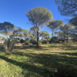 Terrain constructible 2000 m² à Vidauban