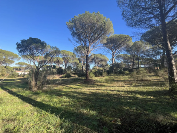 Terrain constructible 2000 m² à Vidauban