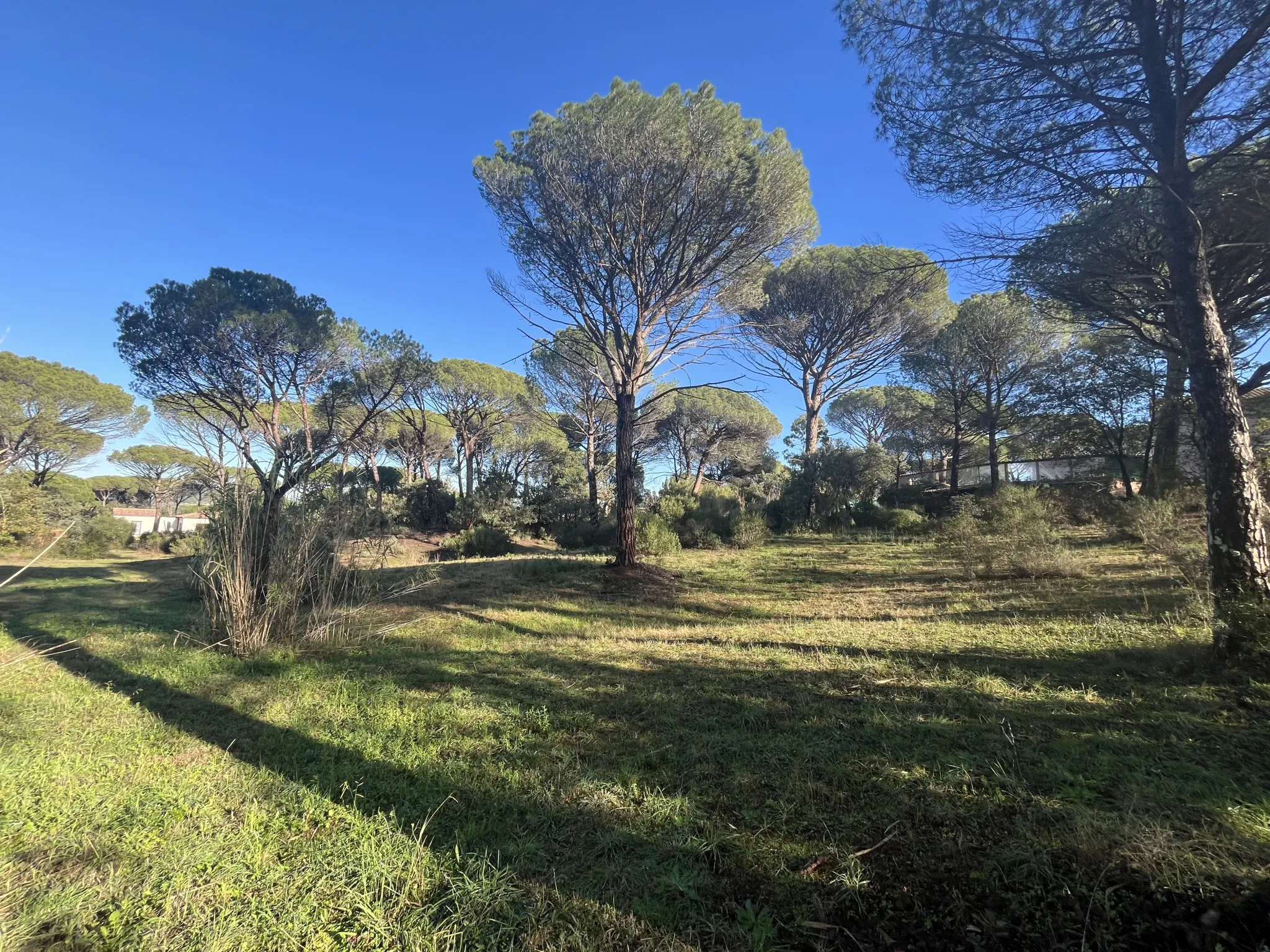 Terrain constructible 2000 m² à Vidauban 