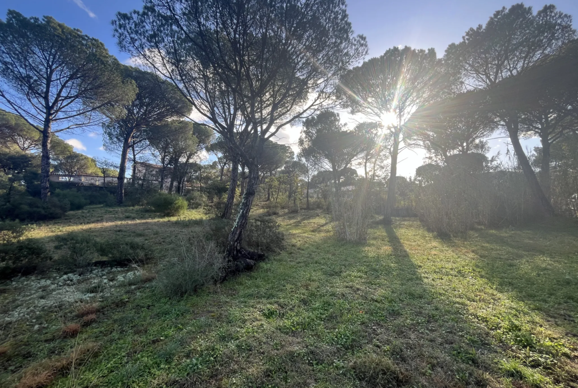 Terrain constructible 2000 m² à Vidauban 