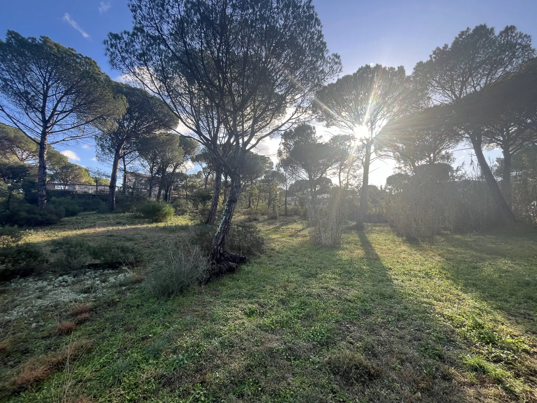 Terrain constructible 2000 m² à Vidauban 