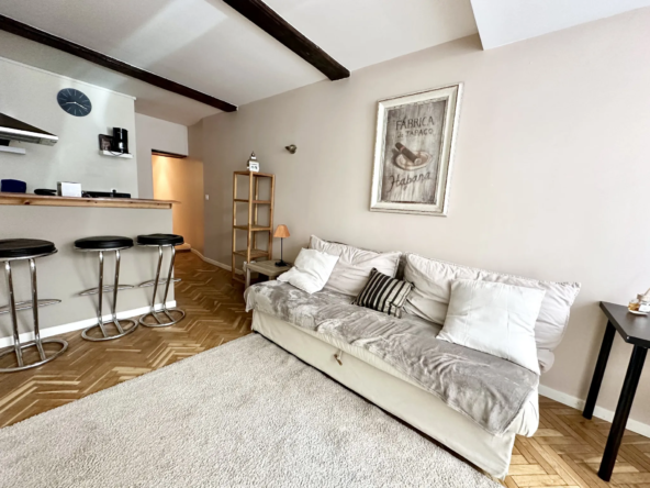 À vendre : Appartement T2 à Lille - Idéal Investisseur