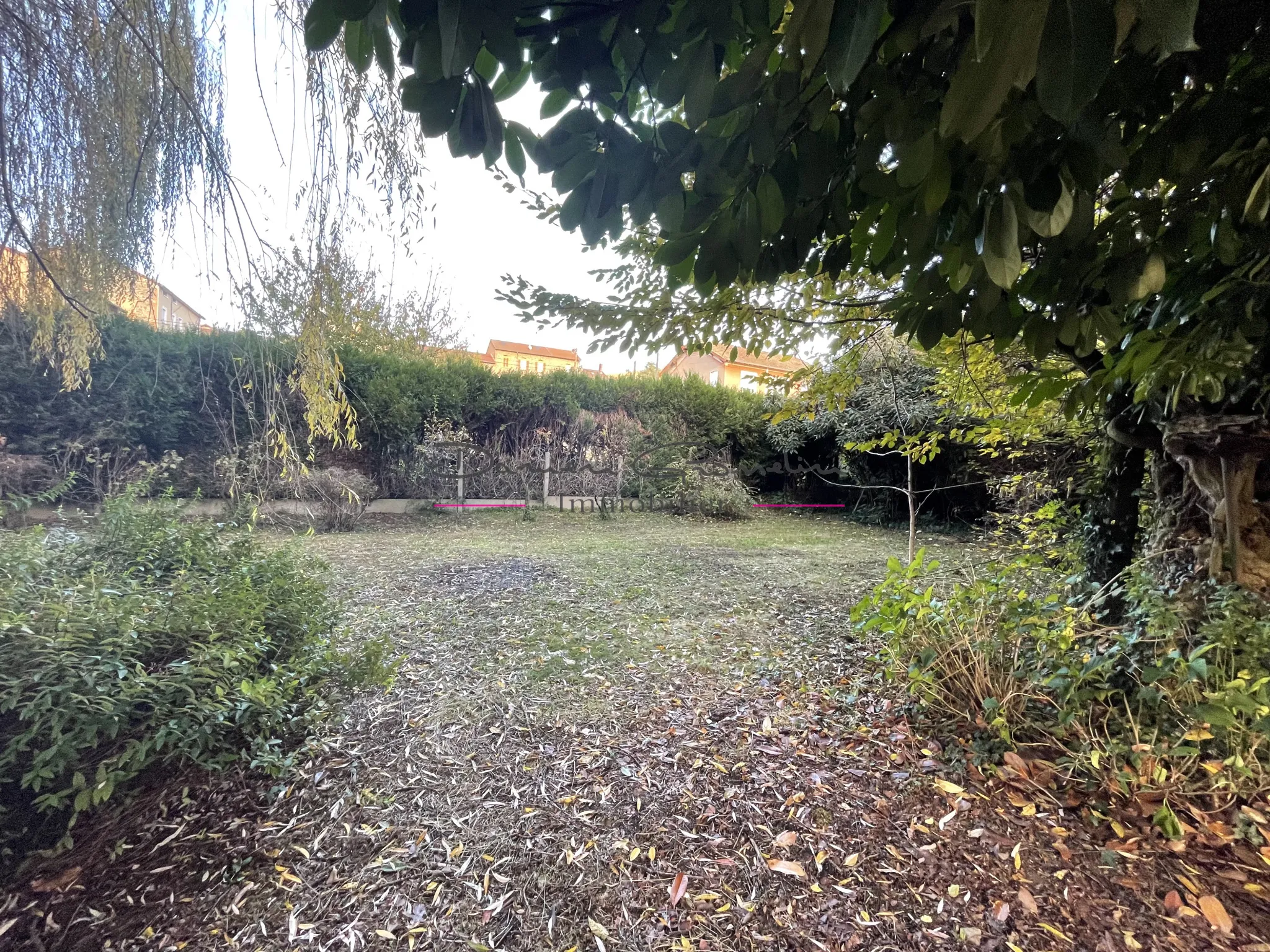 Immeuble à vendre à Bourg de Thizy avec jardin arboré 