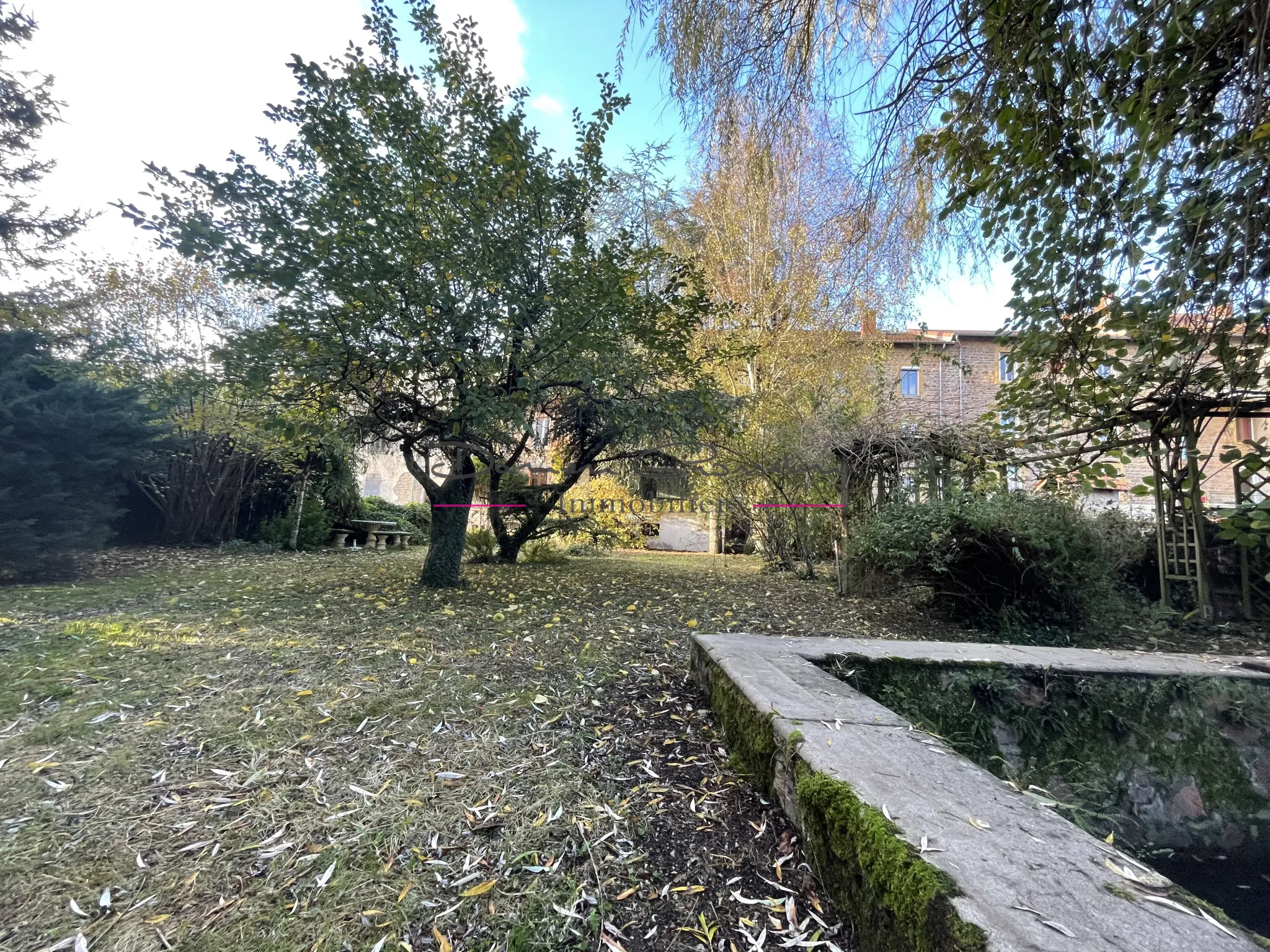 Immeuble à vendre à Bourg de Thizy avec jardin arboré 