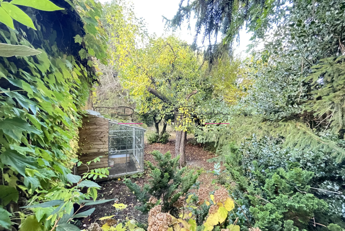 Immeuble à vendre à Bourg de Thizy avec jardin arboré 