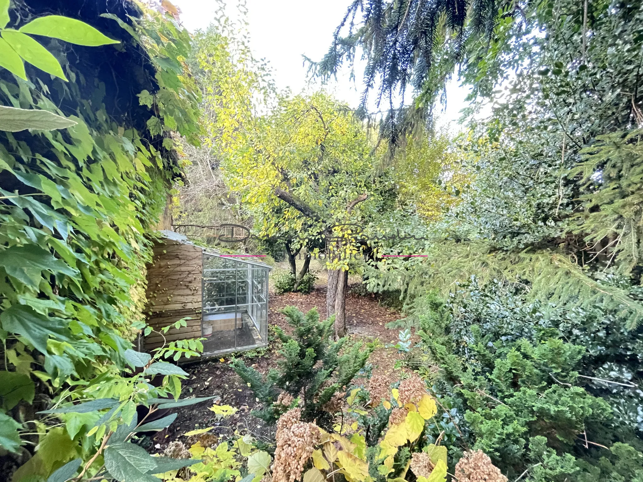 Immeuble à vendre à Bourg de Thizy avec jardin arboré 