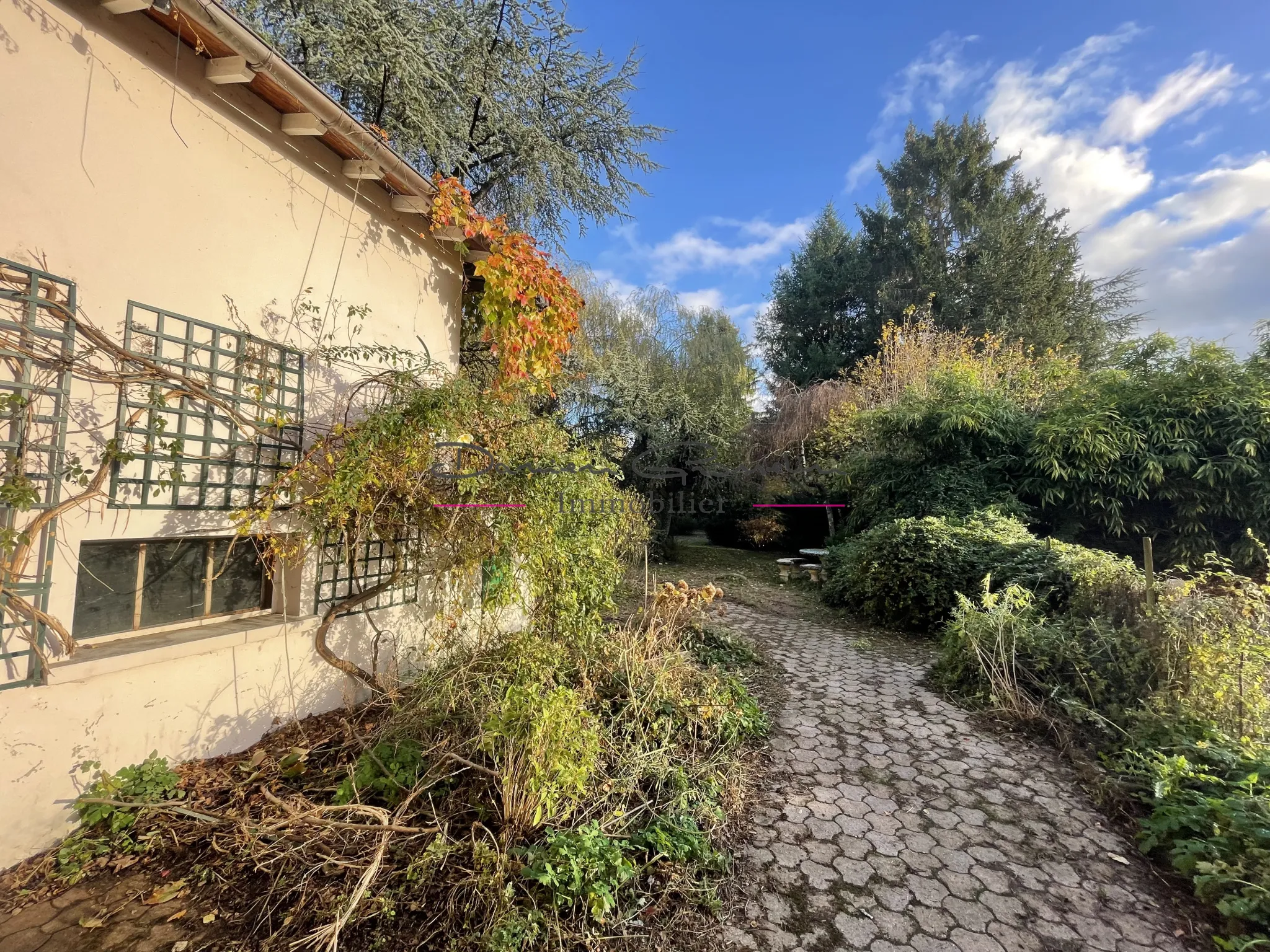 Immeuble à vendre à Bourg de Thizy avec jardin arboré 