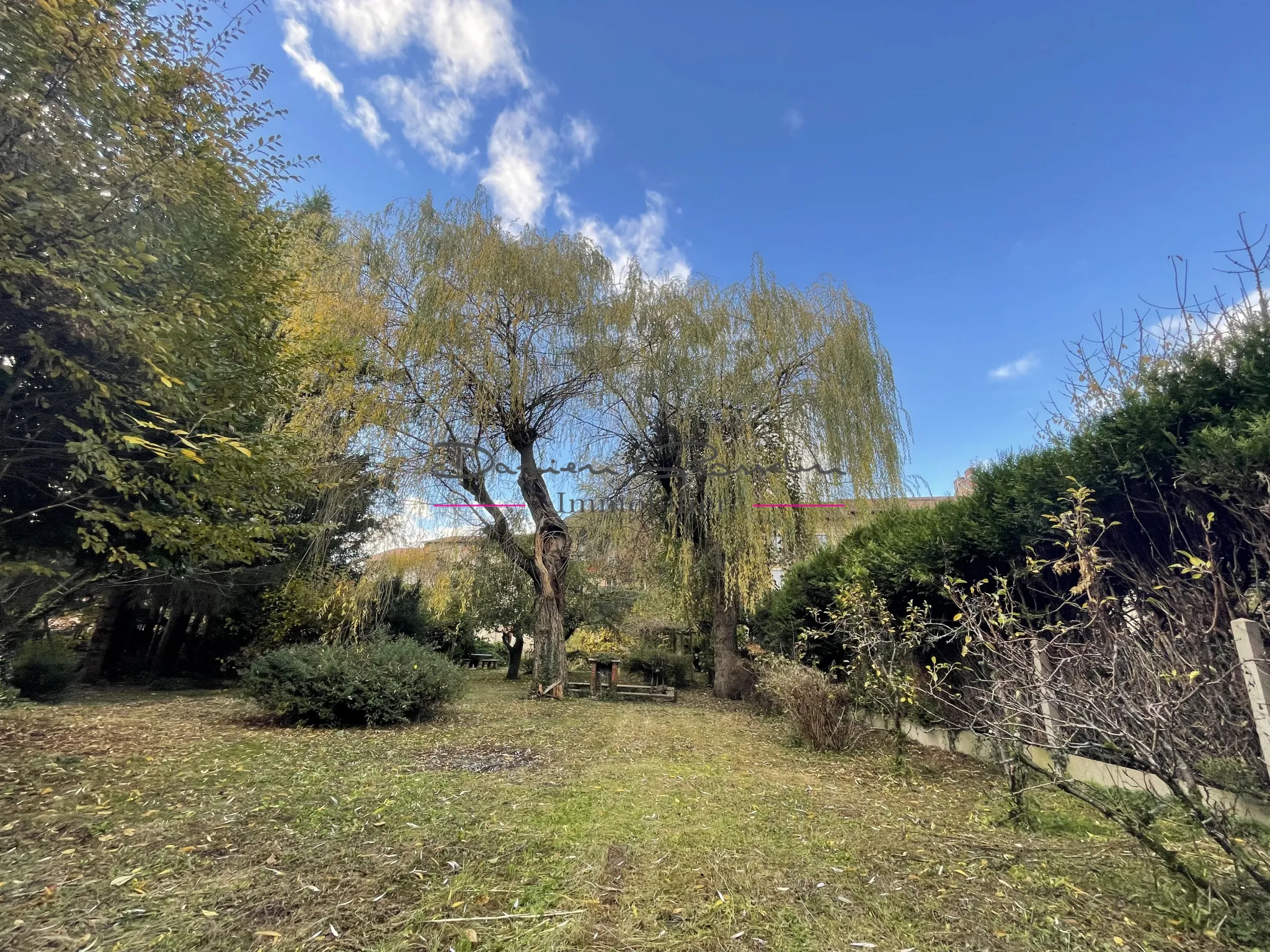 Immeuble à vendre à Bourg de Thizy avec jardin arboré 