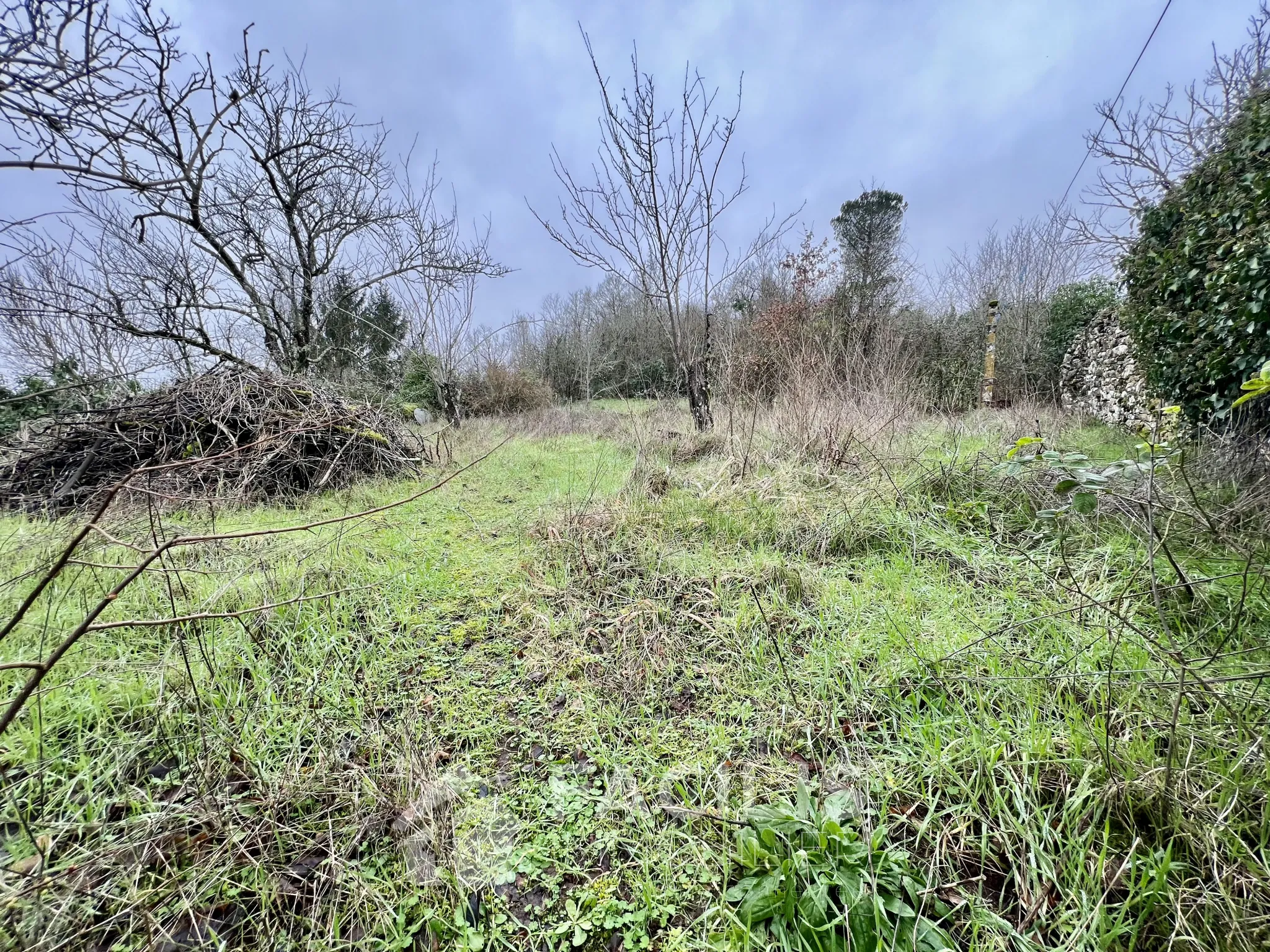 Maison en Pierres à Rénover à Vivonne (86370) - 2 Chambres - Terrain 669 m2 