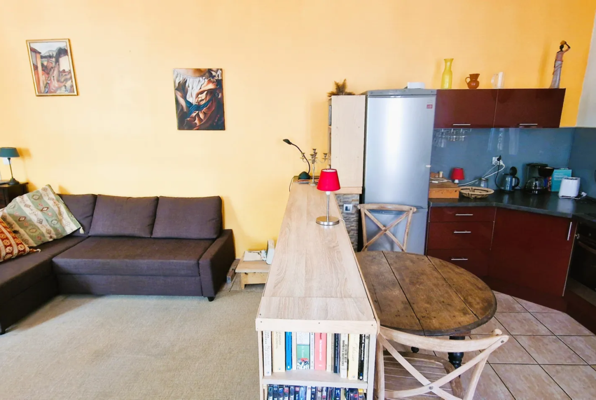 Appartement T2 rénové à vendre à Céret - 68 m² dans l'hyper centre 