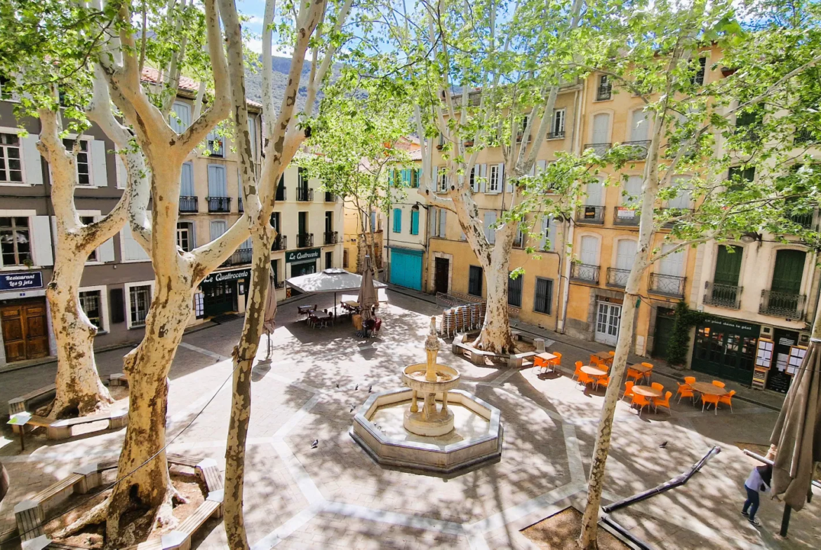 Appartement T2 rénové à vendre à Céret - 68 m² dans l'hyper centre 