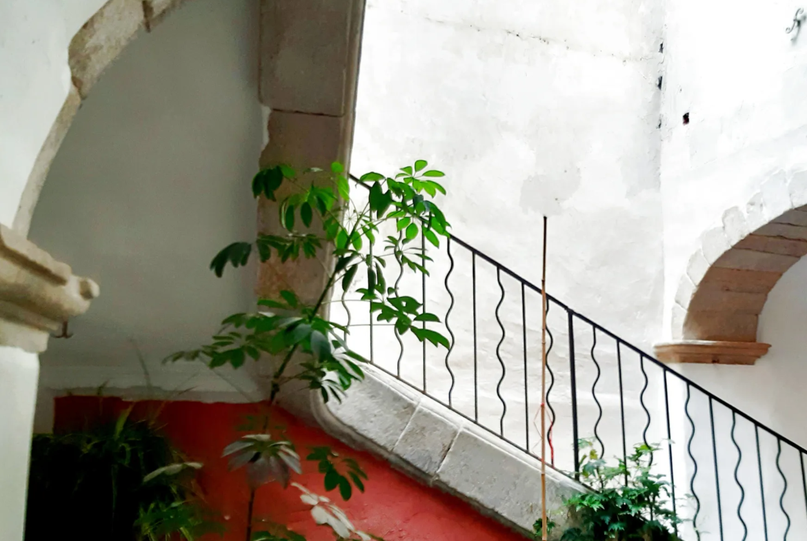 Maison de maître à vendre au cœur de Saint-Affrique 