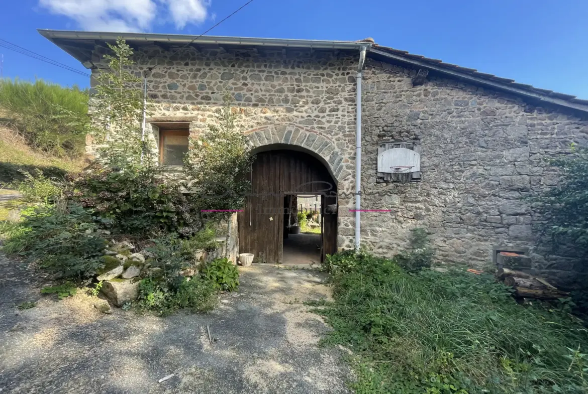 Maison de campagne en pierre avec 3140 m² de terrain à Cublize 