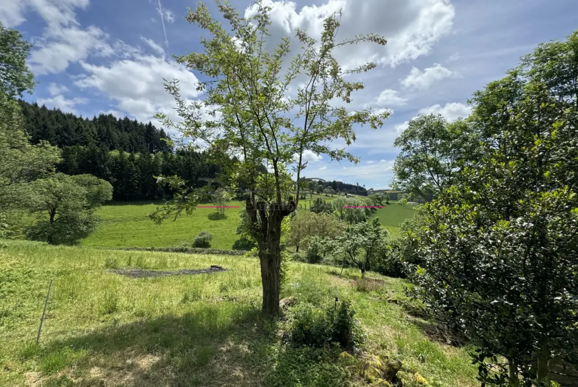 Maison de campagne en pierre avec 3140 m² de terrain à Cublize 