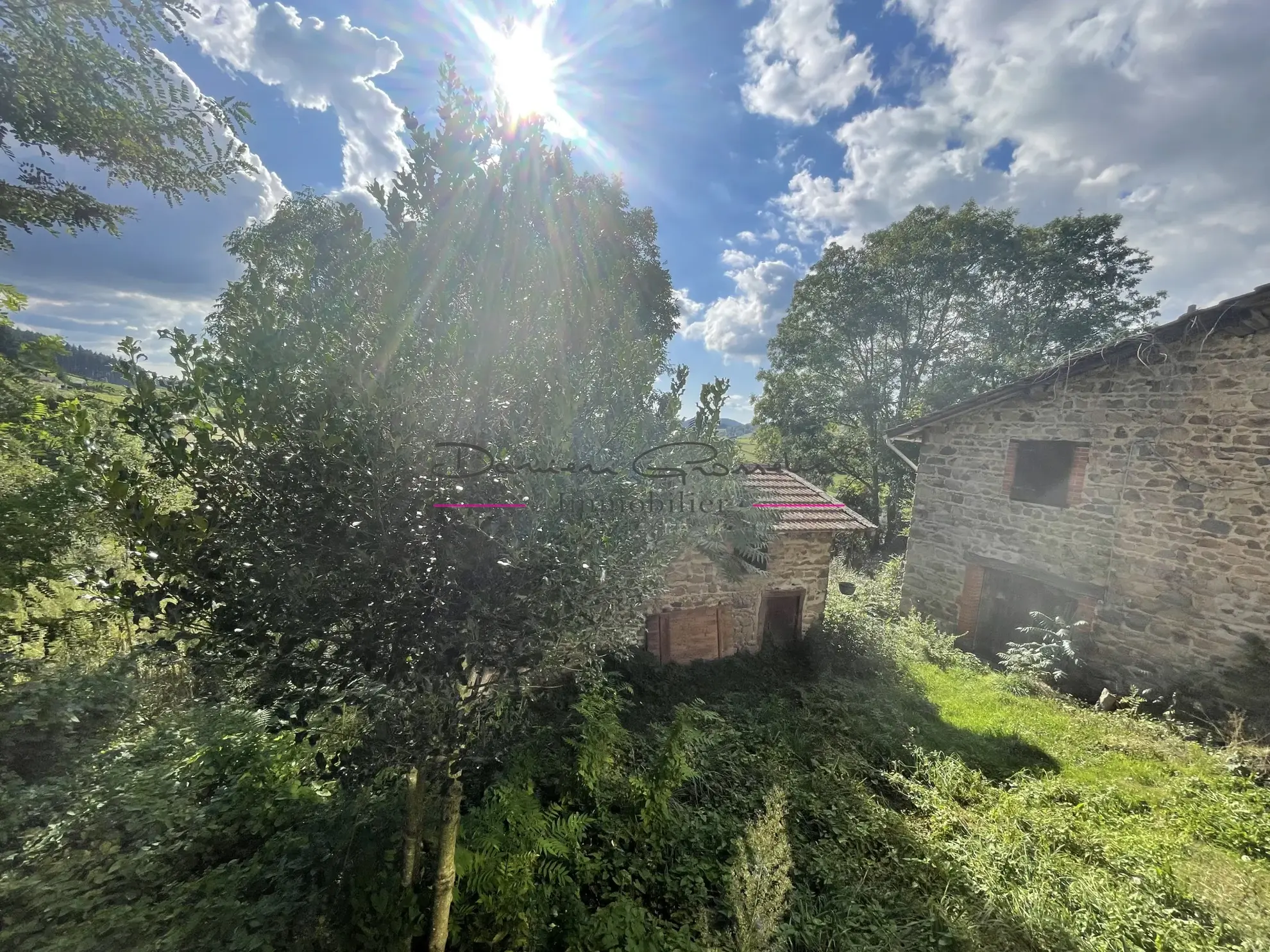 Maison de campagne en pierre avec 3140 m² de terrain à Cublize 