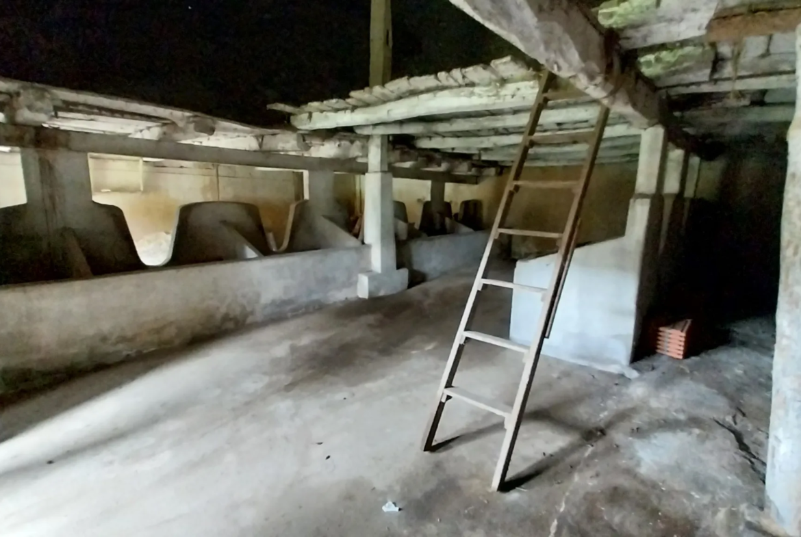 Maison en pierre à rénover dans le Périgord Vert 