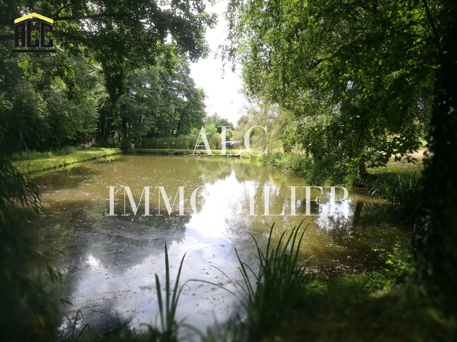 Terrain avec plan d'eau de 3718 m² à Villeneuve-en-Perseigne 