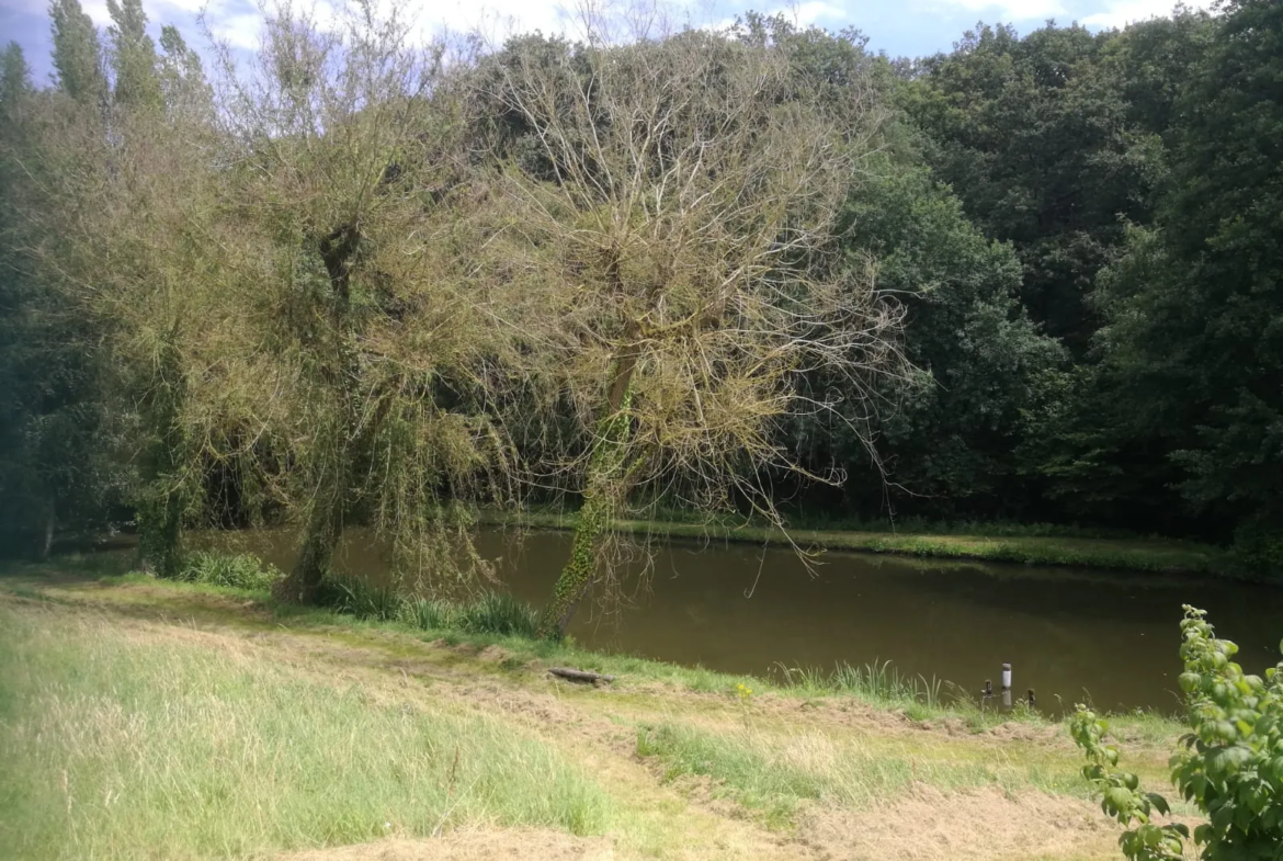 Terrain avec plan d'eau de 3718 m² à Villeneuve-en-Perseigne 