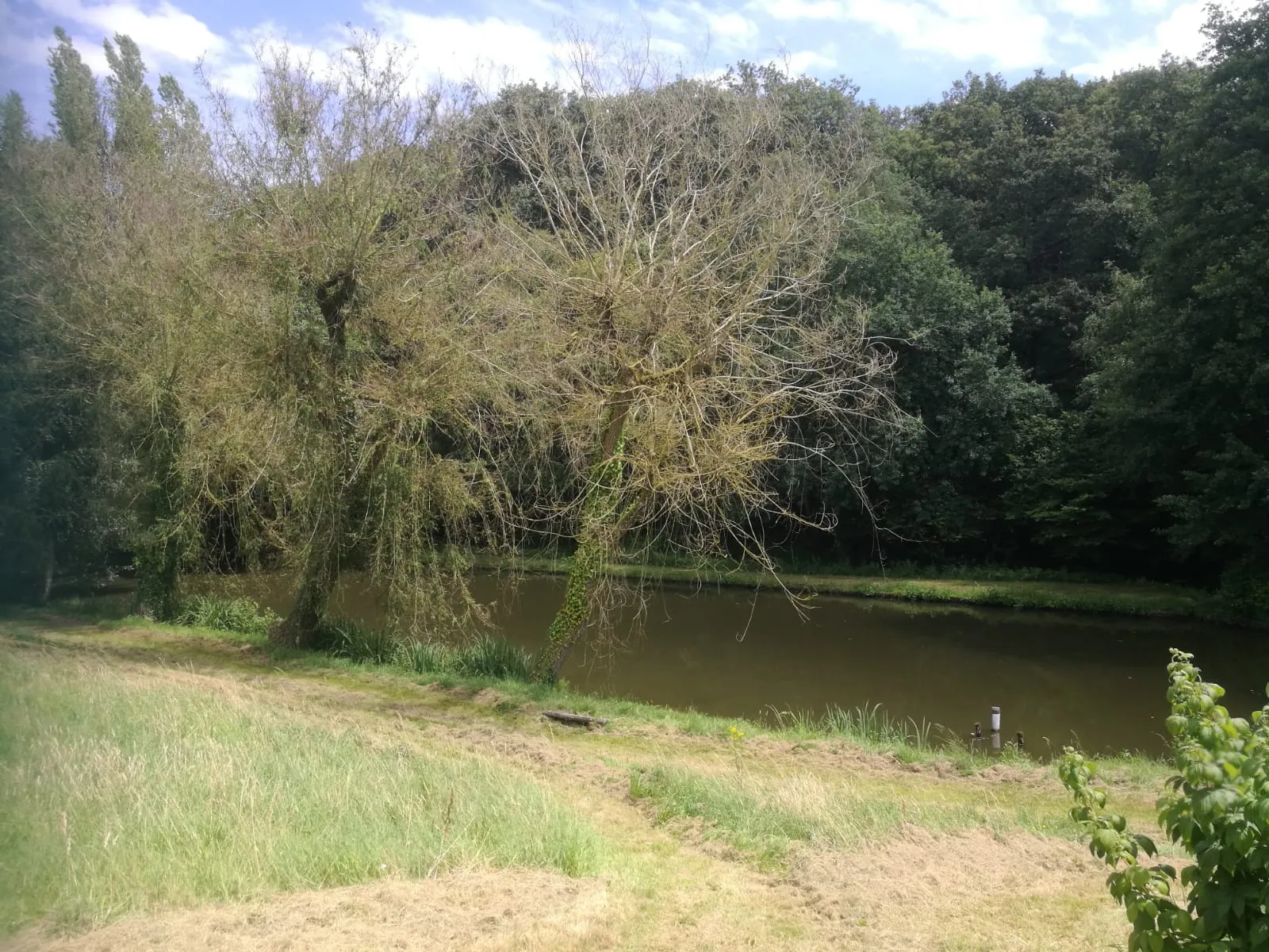 Terrain avec plan d'eau de 3718 m² à Villeneuve-en-Perseigne 