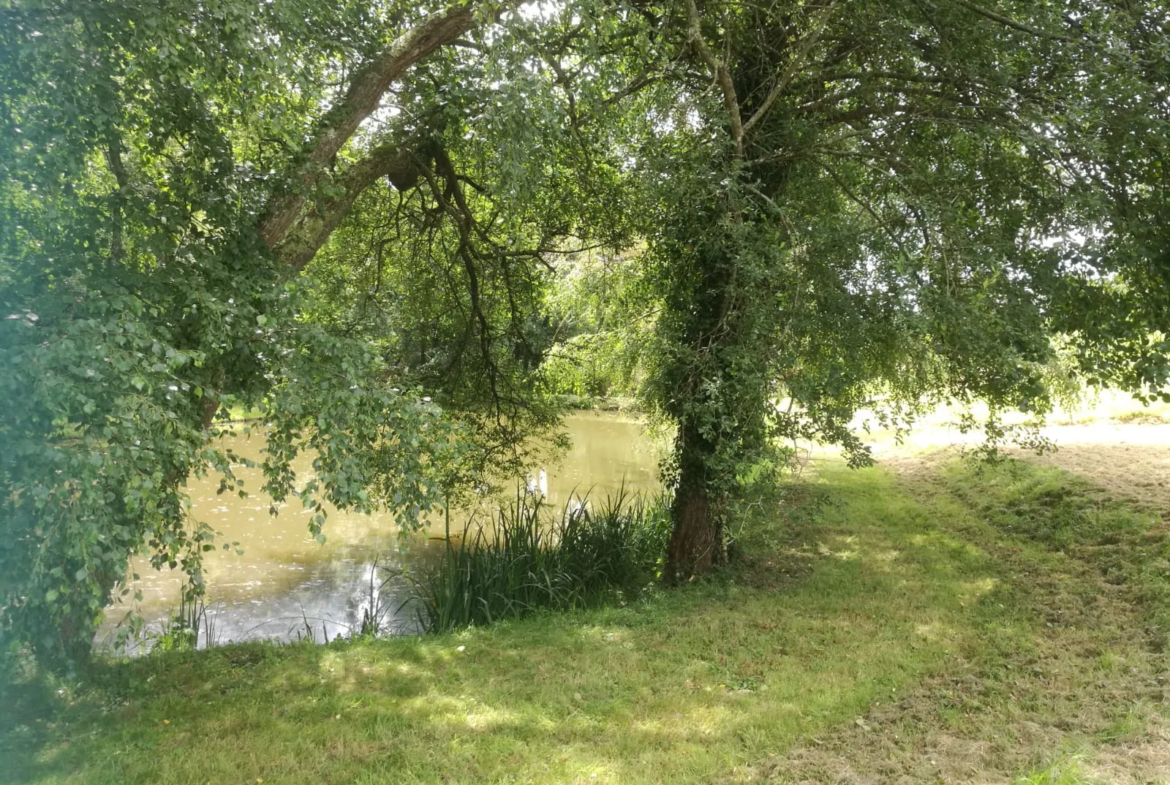 Terrain avec plan d'eau de 3718 m² à Villeneuve-en-Perseigne 