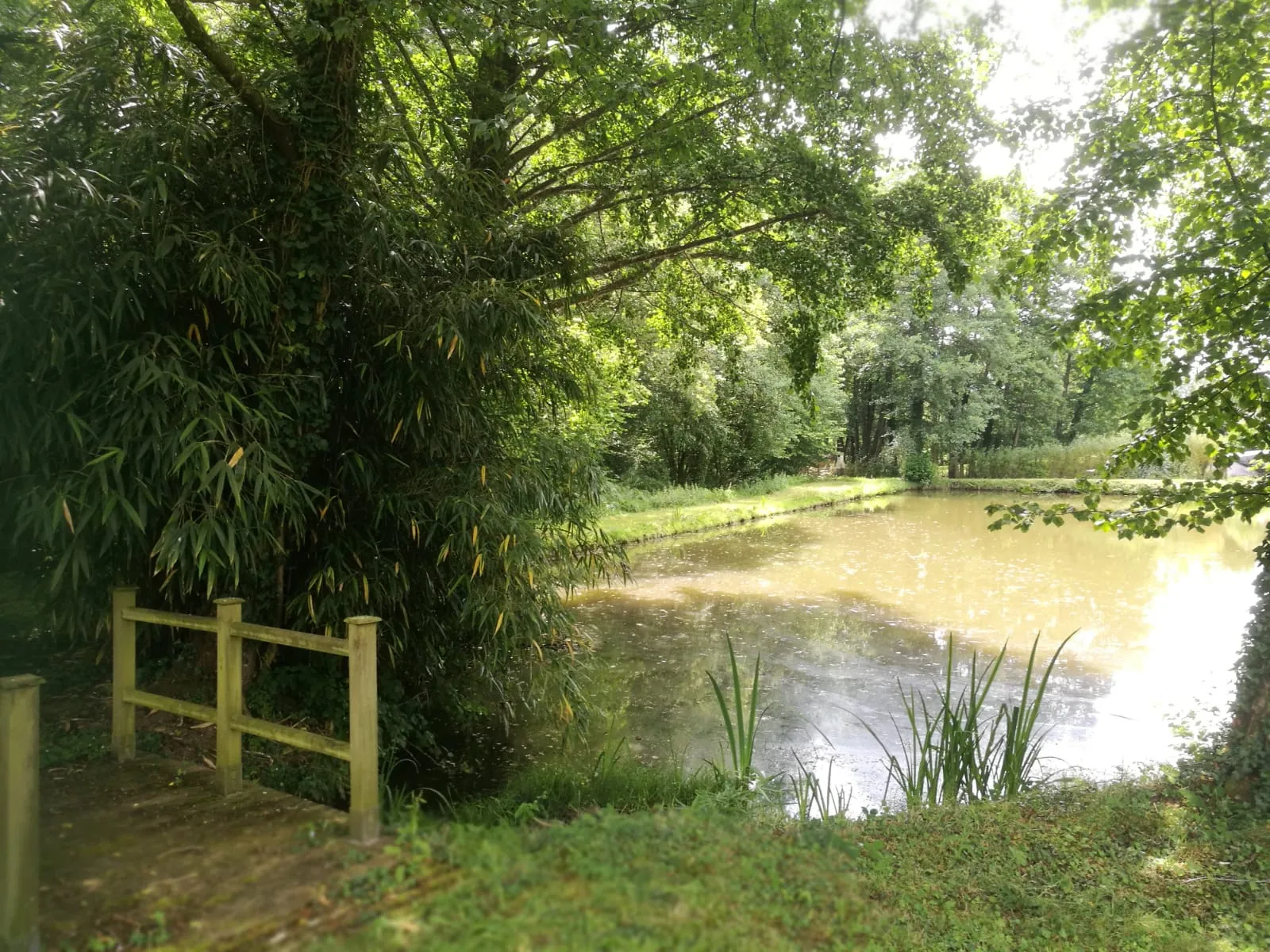 Terrain avec plan d'eau de 3718 m² à Villeneuve-en-Perseigne 