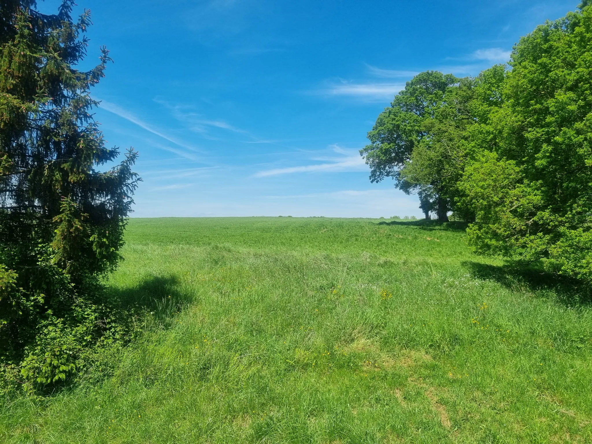 Vente d'une Maison Spacieuse de 133,88 m² à Mieuxce, Alençon 