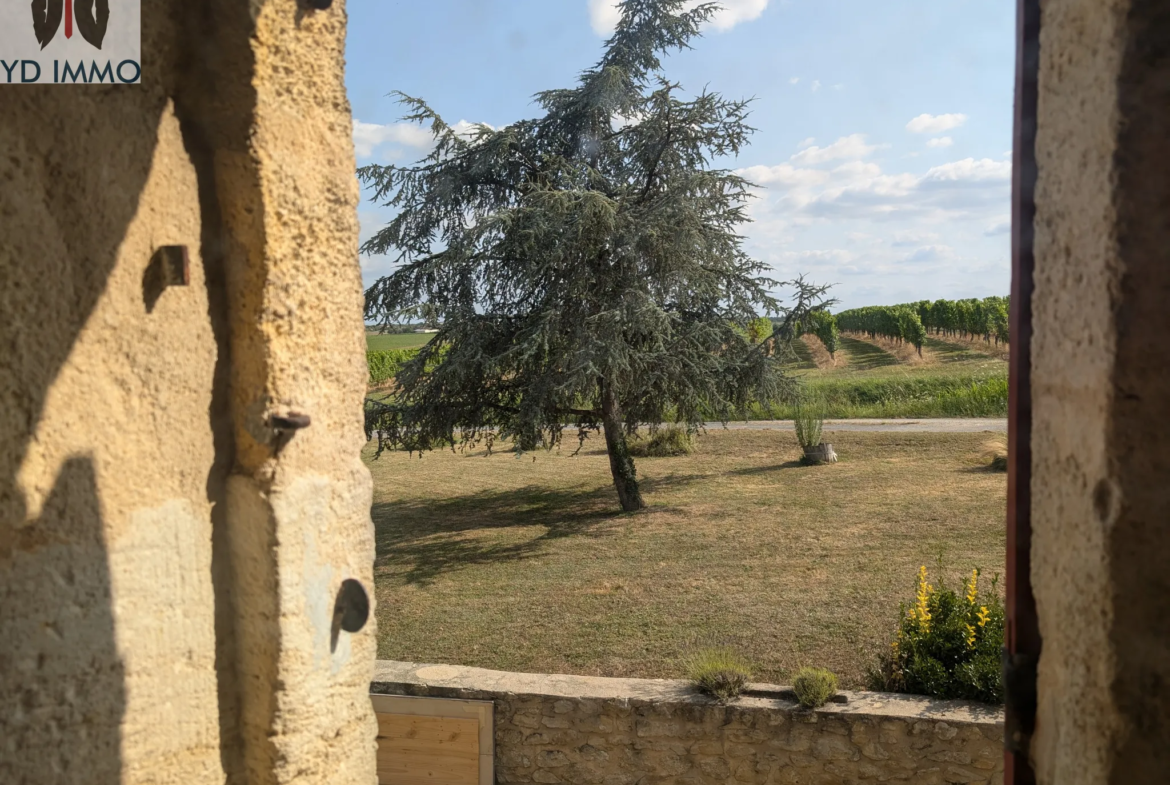 Magnifique Maison en Pierre avec 6 Chambres à Castelviel 