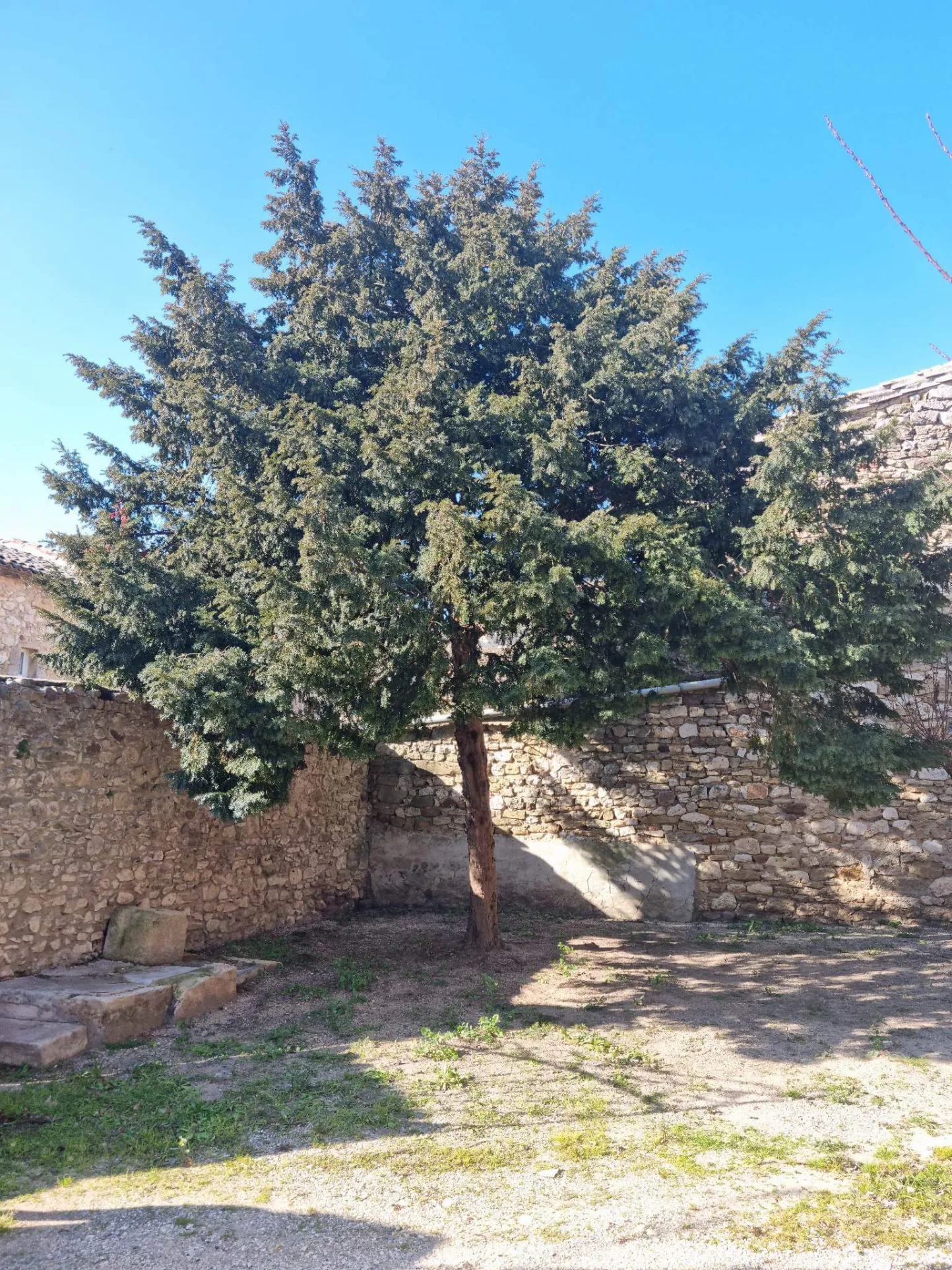 À vendre : Ancienne magnaneraie à rénover à Saint Hippolyte de Montaigu 