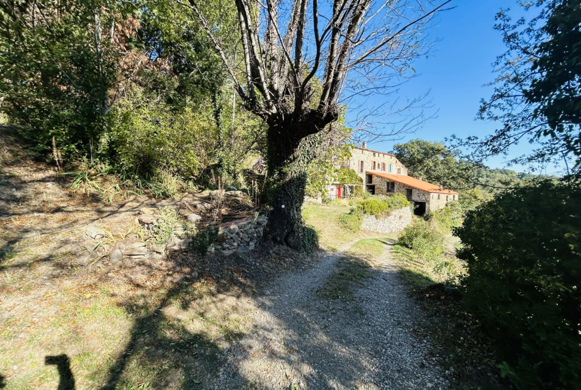 Propriété avec vue exceptionnelle sur les Pyrénées à Saint Marsal 