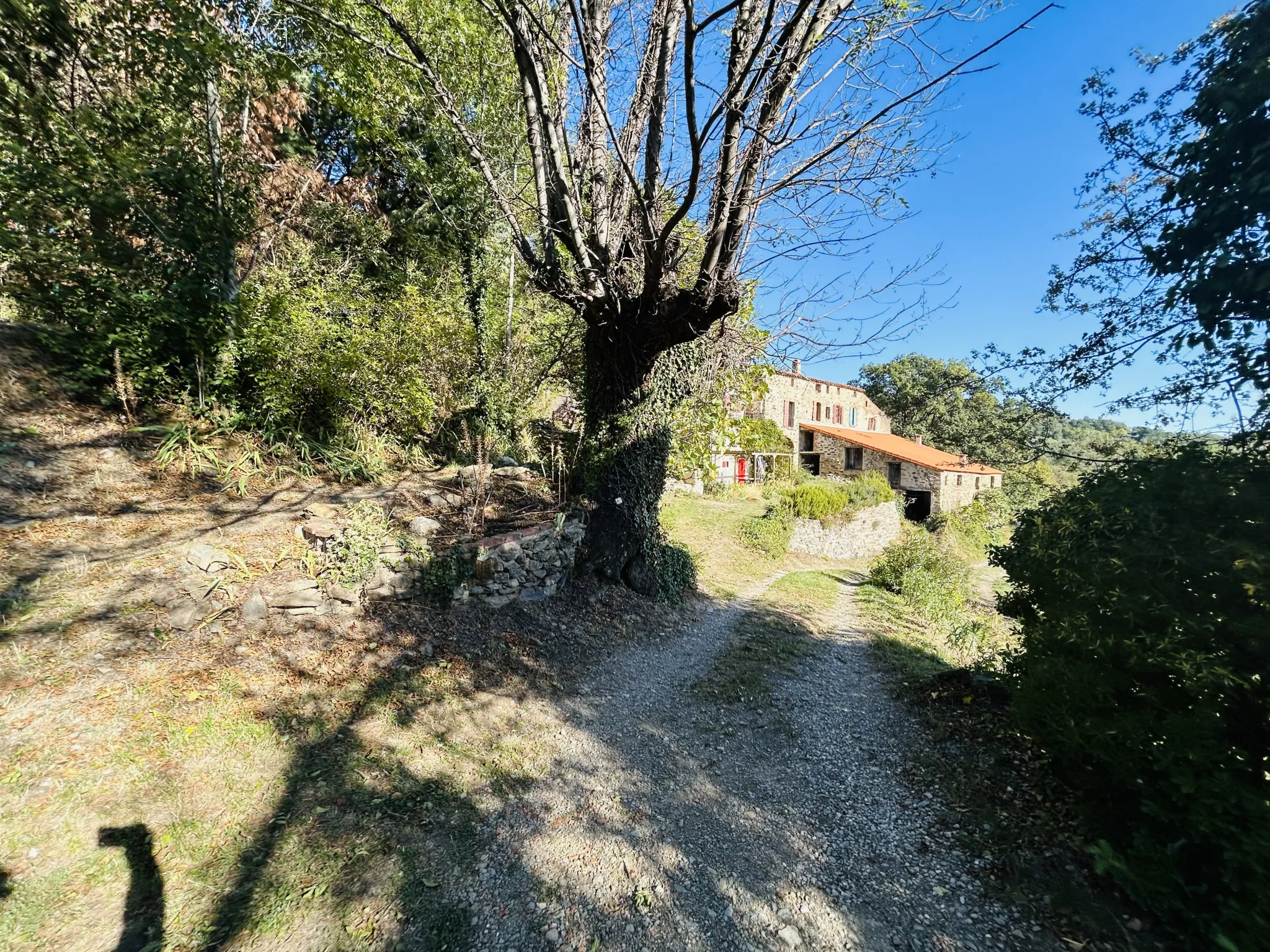 Propriété avec vue exceptionnelle sur les Pyrénées à Saint Marsal 