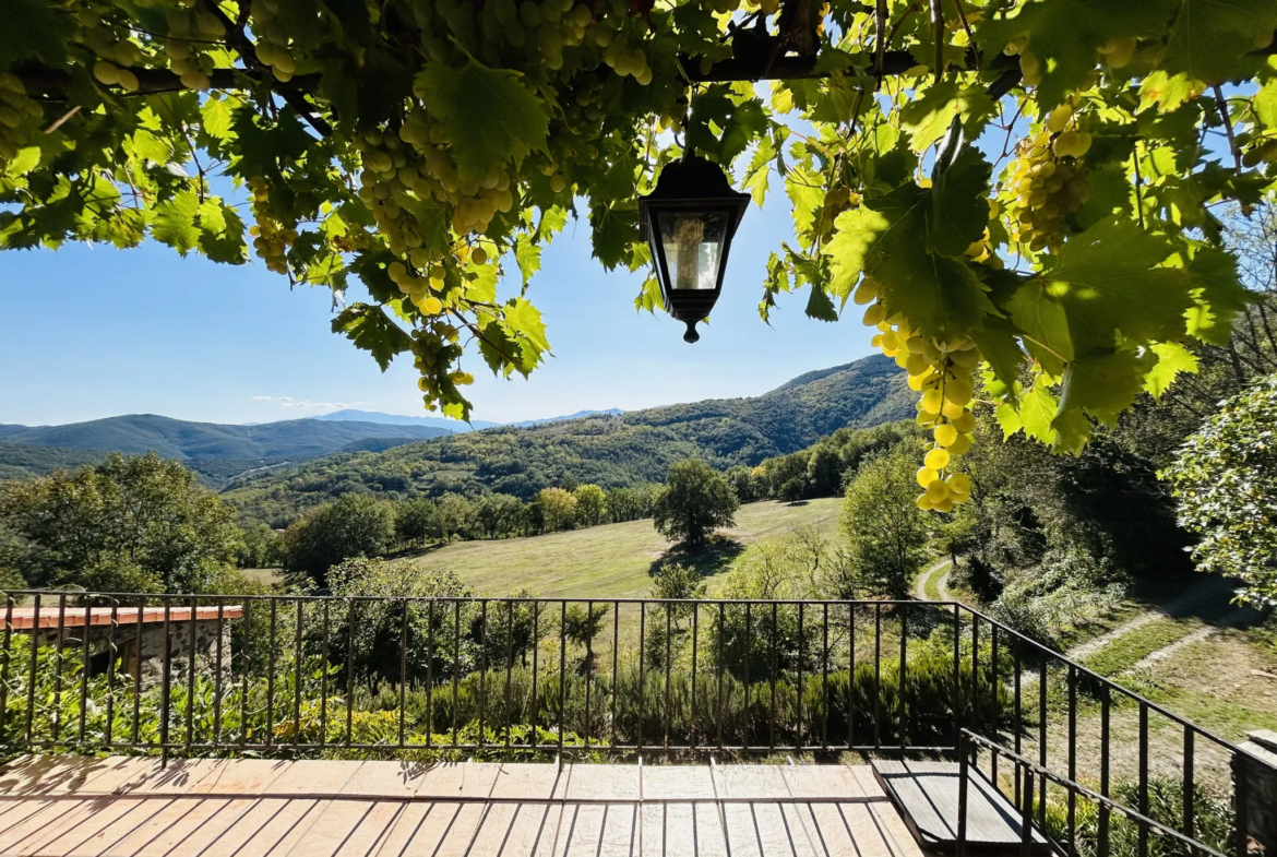 Propriété avec vue exceptionnelle sur les Pyrénées à Saint Marsal 