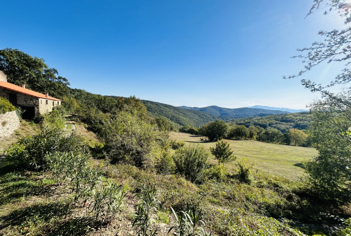 Propriété avec vue exceptionnelle sur les Pyrénées à Saint Marsal 