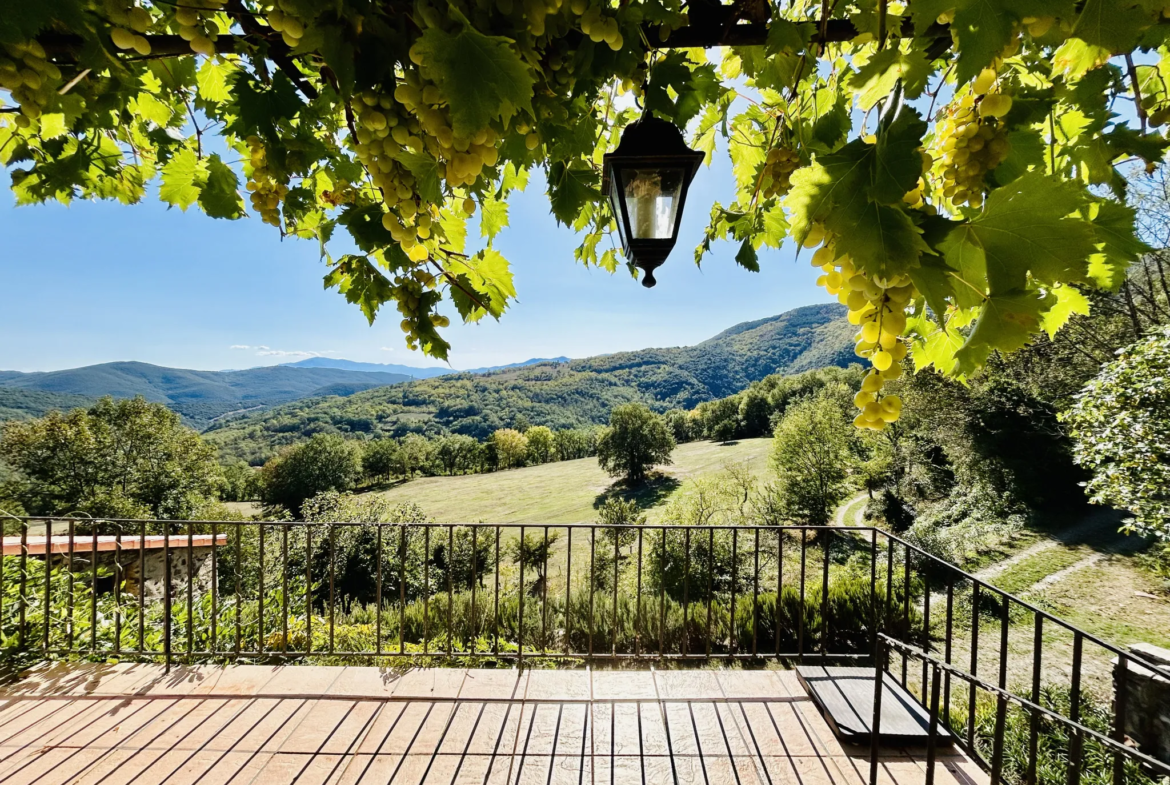 Propriété avec vue exceptionnelle sur les Pyrénées à Saint Marsal 