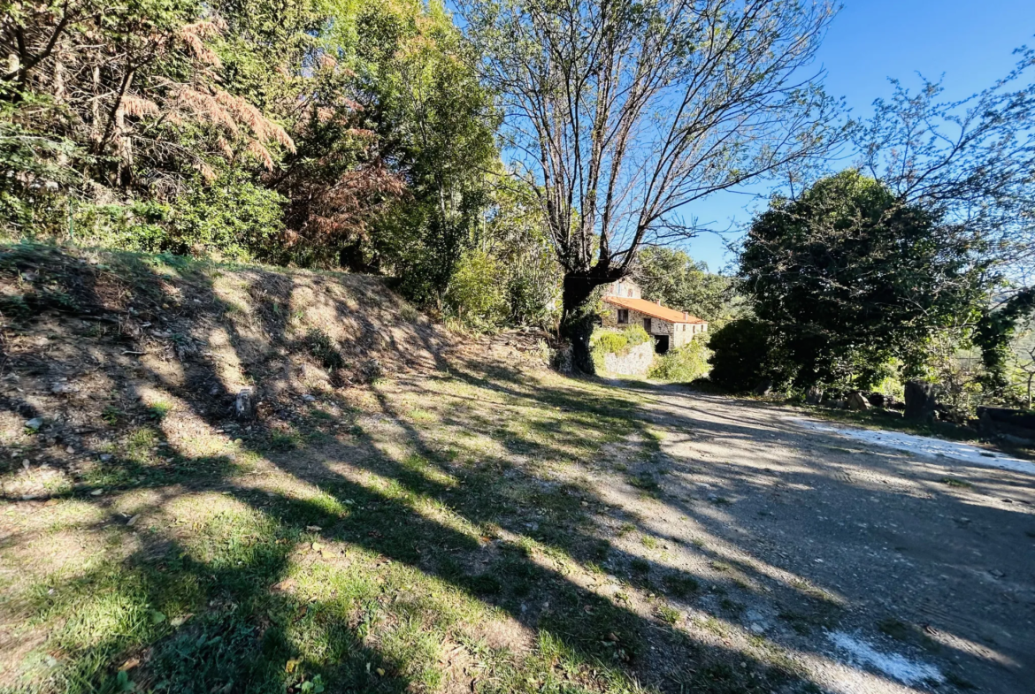 Propriété avec vue exceptionnelle sur les Pyrénées à Saint Marsal 