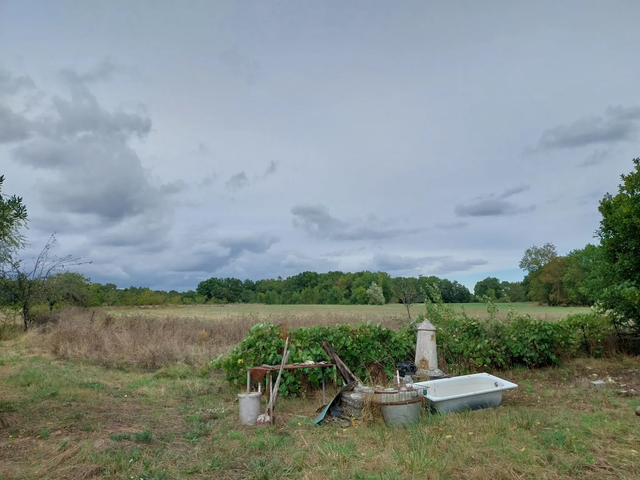 Maison charentaise à rénover avec 9 hectares de prairies à Nercillac 