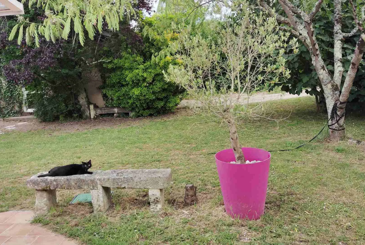 Maison en pierre avec piscine dans un hameau paisible à Bayon sur Gironde 