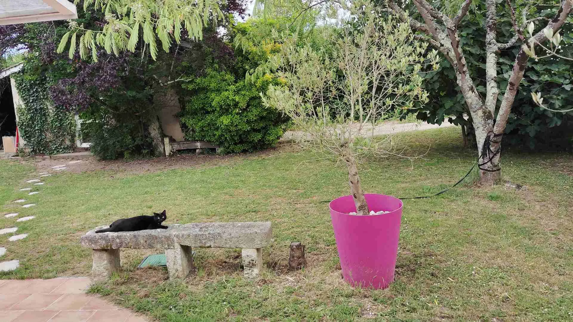 Maison en pierre avec piscine dans un hameau paisible à Bayon sur Gironde 