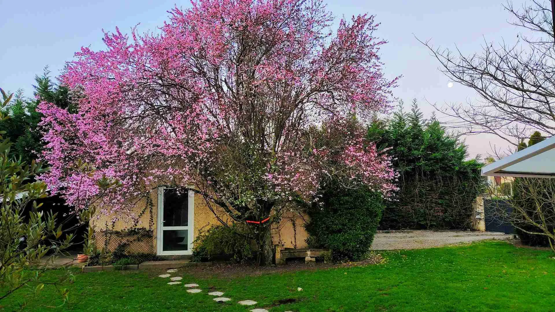 Maison en pierre avec piscine dans un hameau paisible à Bayon sur Gironde 