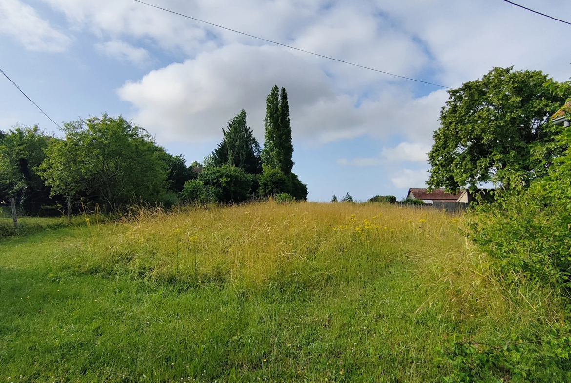 Grange à rénover sur terrain à Saint Gérand-le-Puy 