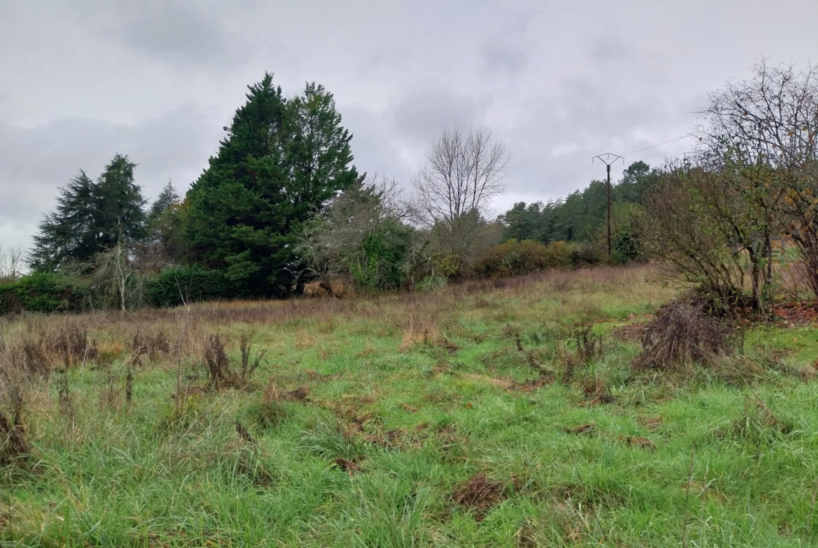 Terrain à bâtir sur plateau herboré à Château L'Evêque 