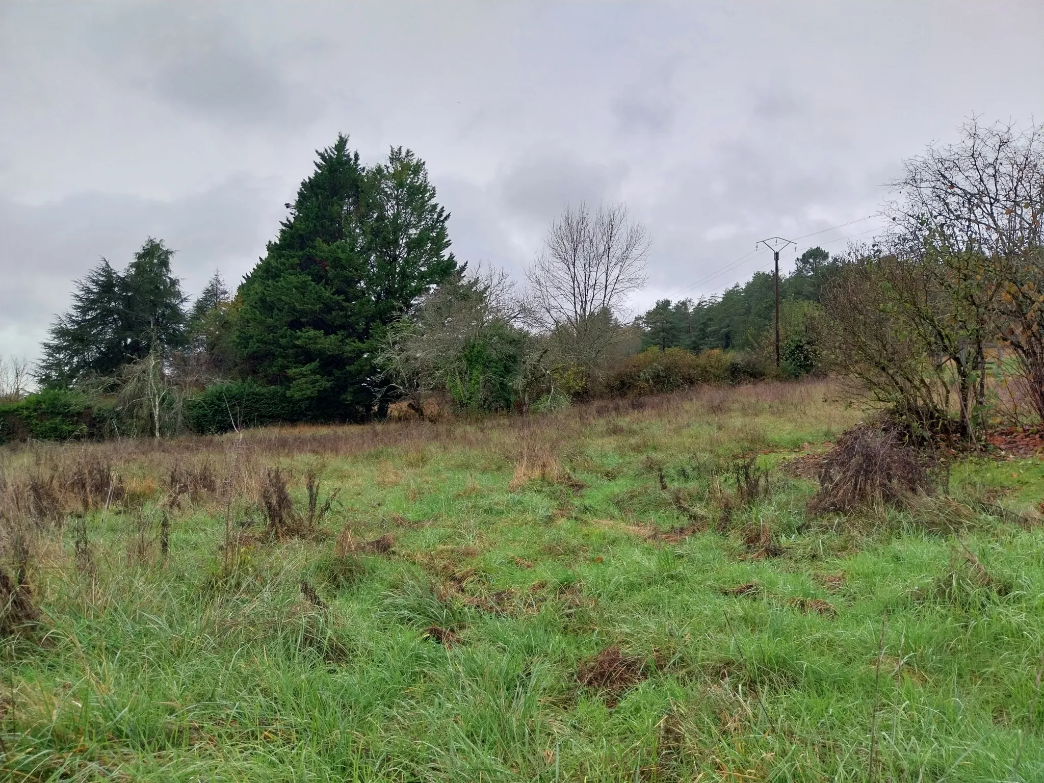 Terrain à bâtir sur plateau herboré à Château L'Evêque 