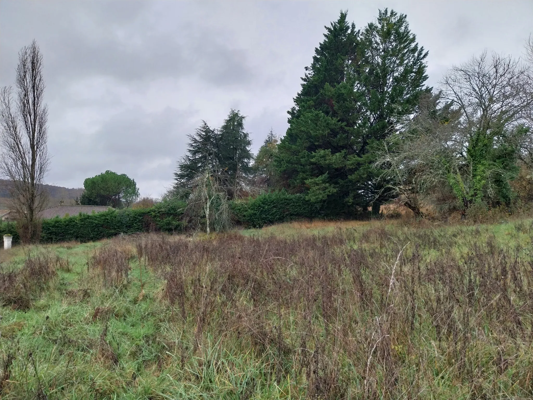 Terrain à bâtir sur plateau herboré à Château L'Evêque 