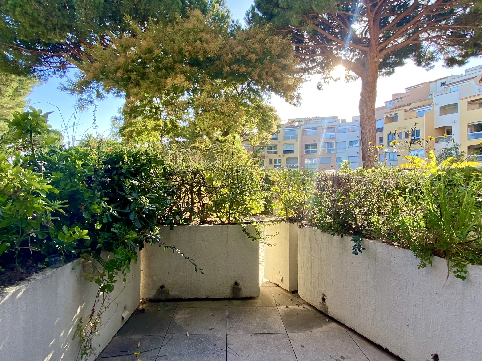 Grand Studio avec Piscine et Terrasse au Cap d'Agde 