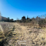 Terrain constructible de 3621 m² à Saint Julien, Haut Var