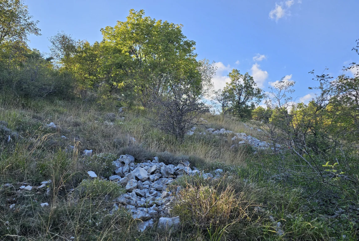 Terrain constructible 2000 m² à Caussols avec vue et permis prêt 